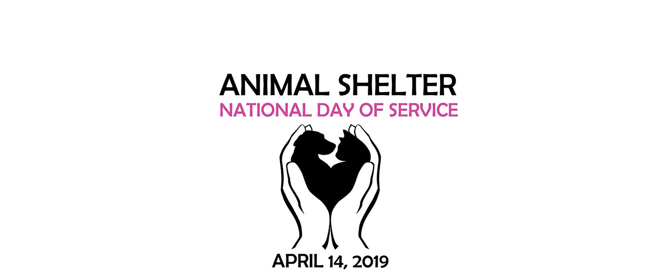 National Day of Service