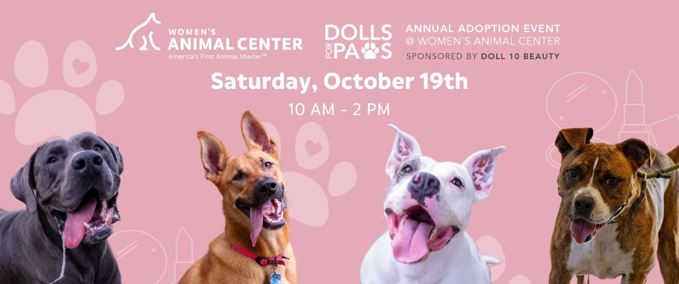 Women's Animal Center Dolls for Paws Adoption Event Sponsored by Doll 10 Beauty. Saturday, October 19th, 10AM-2PM