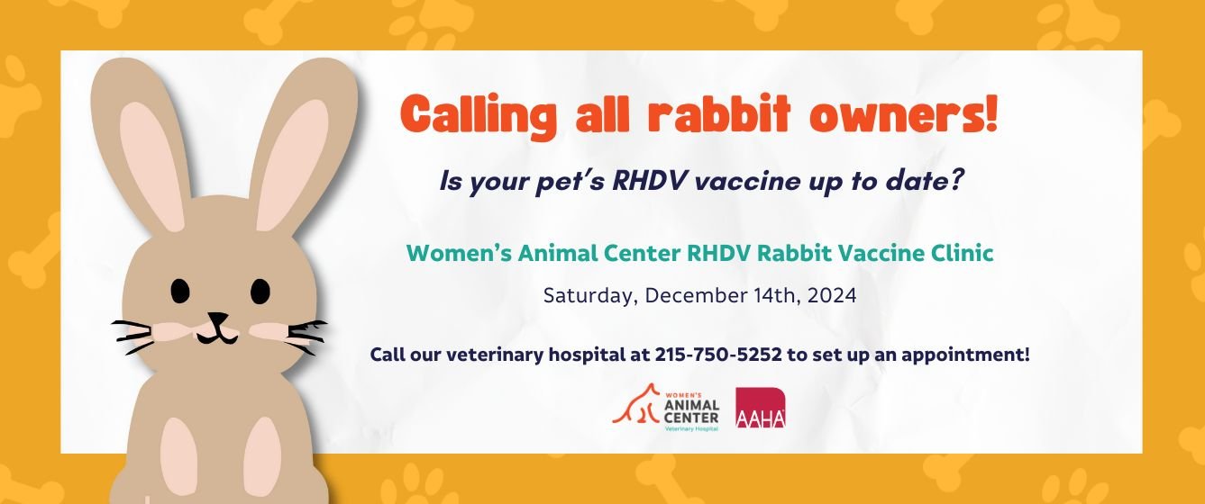 Women's Animal Center RHDV Rabbit Vaccine Clinic. Saturday, December 14th, 2024. Please call at 215-750-5252 to make an appointment.