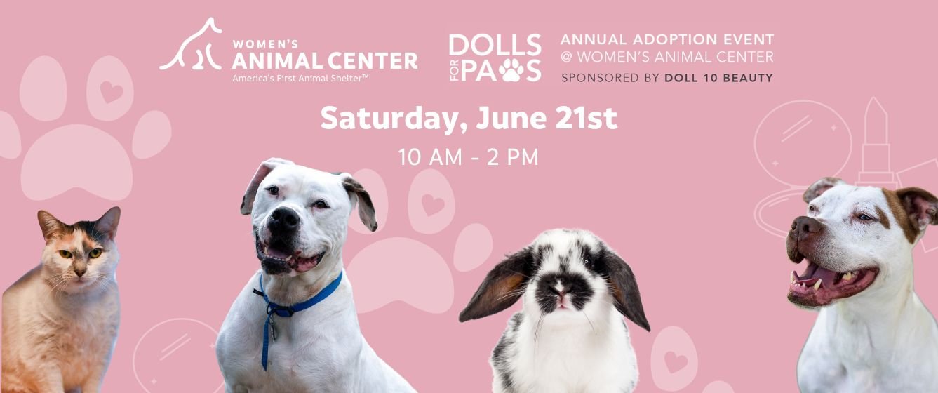 Dolls For Paws Adoption Event at Women's Animal Center, sponsored by Doll 10 Beauty. Saturday, June 21st 2025 from 10-2