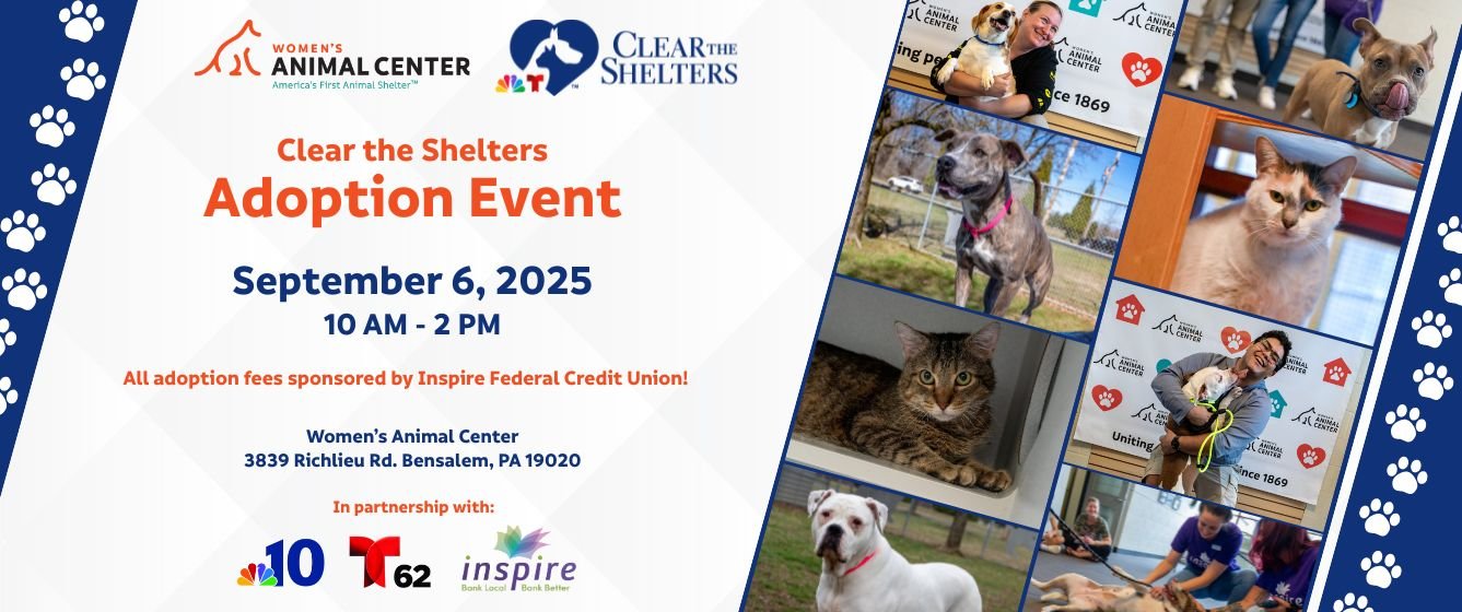 Clear the Shelters 2025. Saturday, September 6th at Women's Animal Center. 10 AM-2 PM. Adoption fees sponsored by Inspire Federal Credit Union.