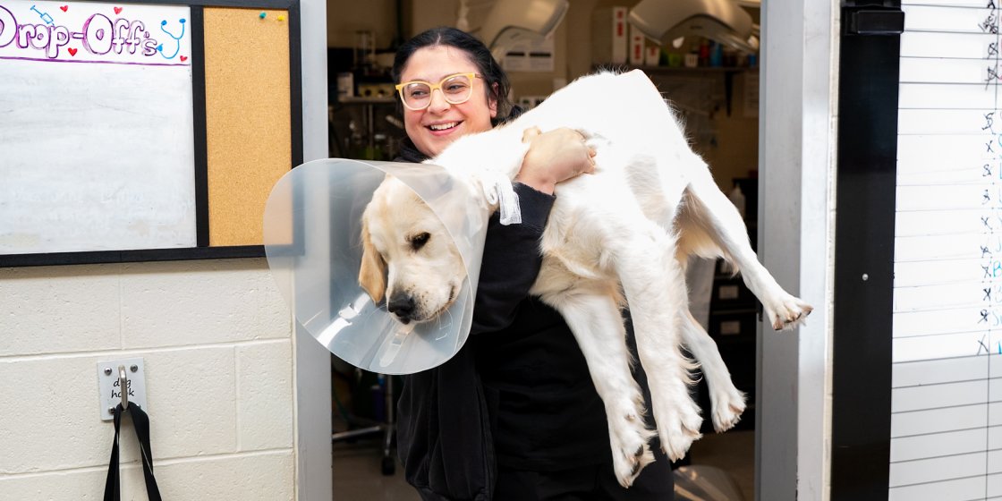 dog carried by tech
