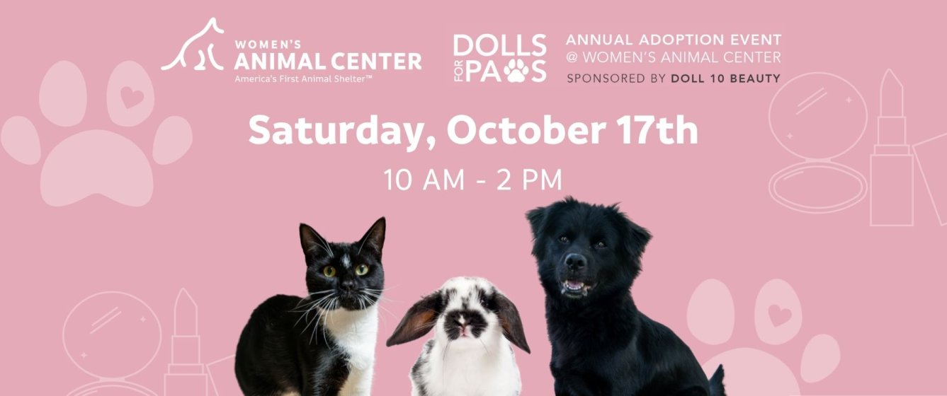 Dolls for Paws Adoption Event sponsored by Doll 10 Beauty. Saturday, October 17, 2026 from 10 AM-2 PM at Women's Animal Center.