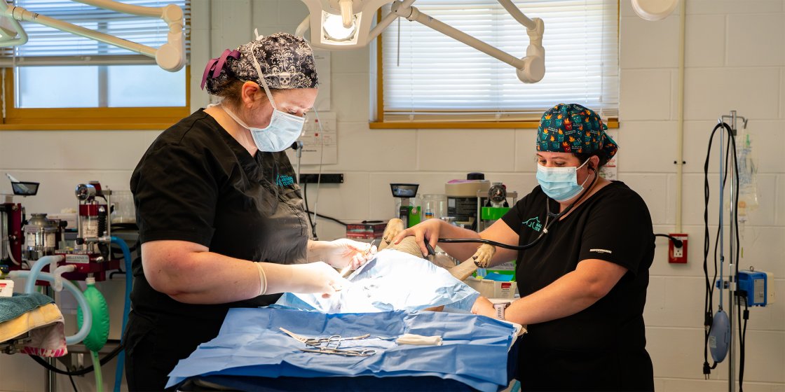 dr and tech in surgery