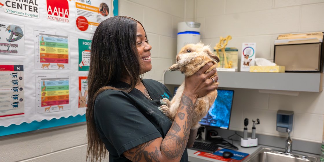 rabbit and tech in exam room