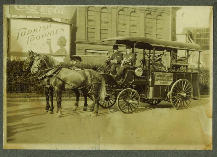 Women's Animal Center Horse Ambulance