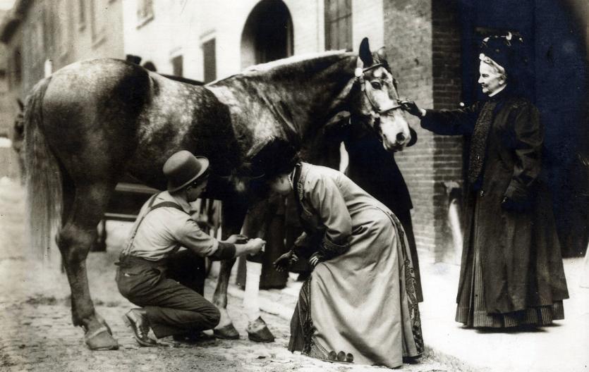Caroline Earle White with Horse
