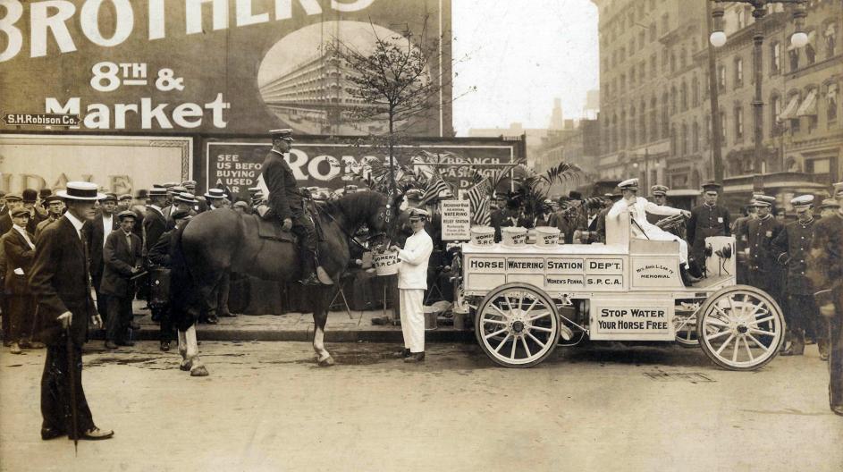 Horse Watering Station